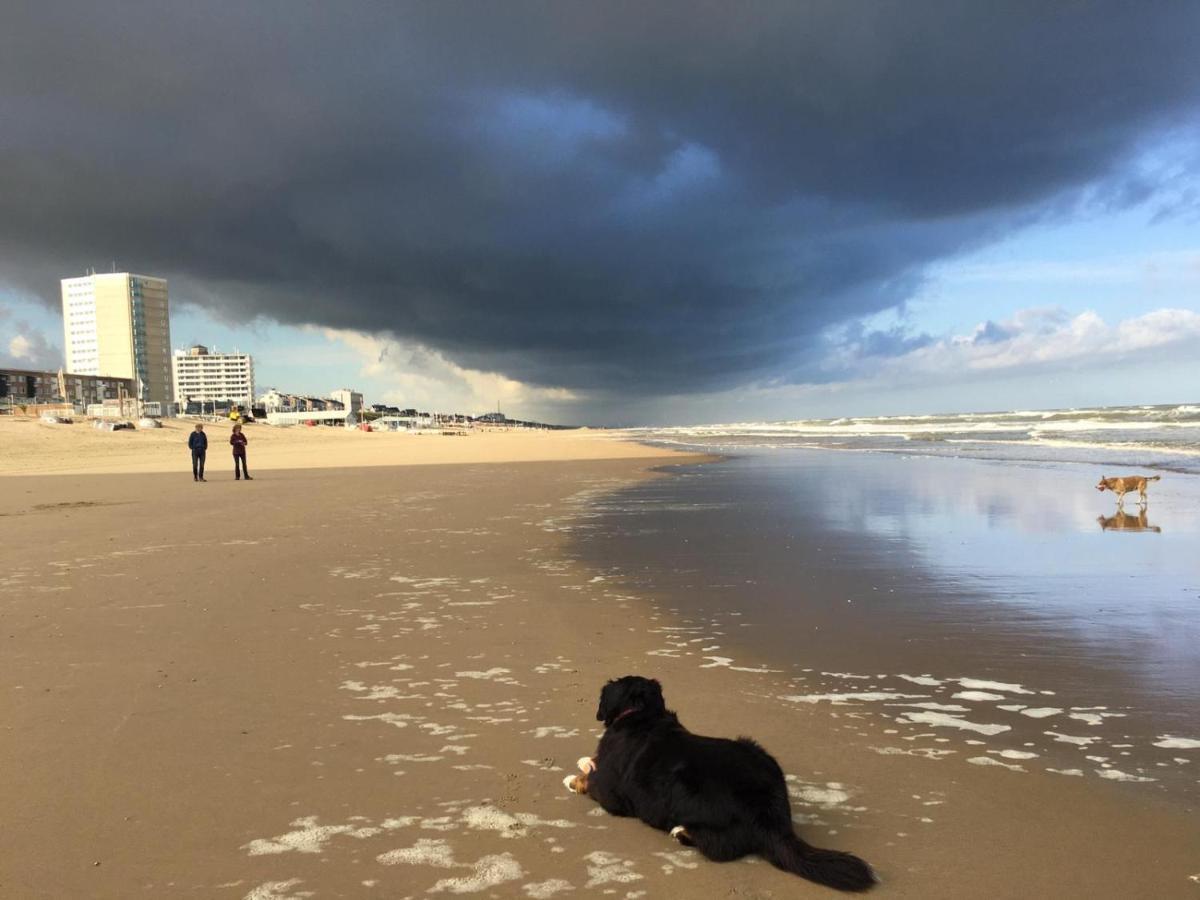 Beach Apartments Zandvoort Εξωτερικό φωτογραφία